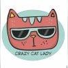 Hot Stuff Sticker Crazy Cat Lady SH2163